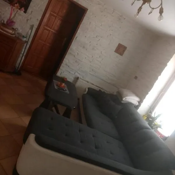 Apartament，位于Psary Małe的酒店