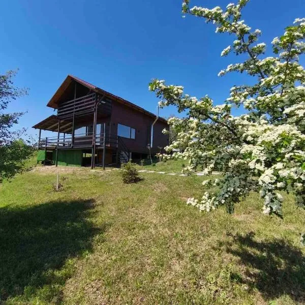 Căsuța din Deal，位于Tătăreşti的酒店