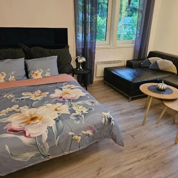 Dalen studio 3，位于达伦的酒店