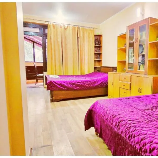 HOTEL S-A-I - SADAN ! COTTAGE Near Mall Road & NAINI LAKE - Free Parking - Jungle Safari & Restaurant Facilities - Hygiene and Spacious Room - The Best Hotel with Mountain Views，位于奈尼塔尔的酒店