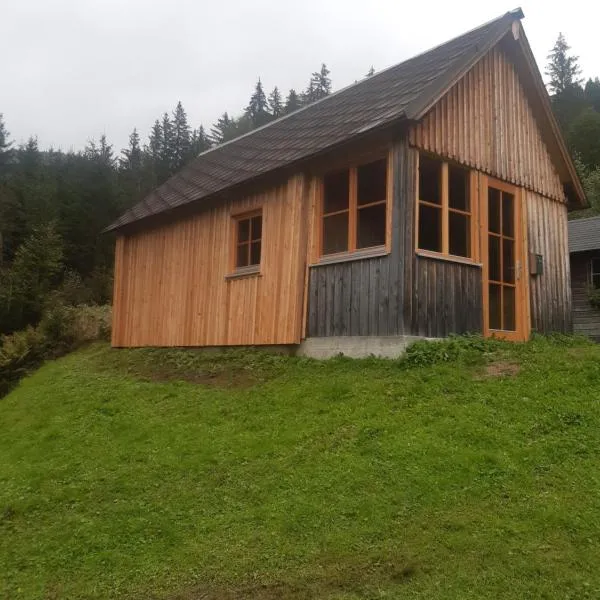 Gscheidegger Hütte，位于Johnsbach的酒店