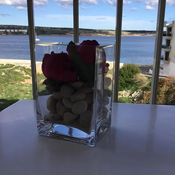 Seaview Haven ocean view apartment，位于梅利哈的酒店