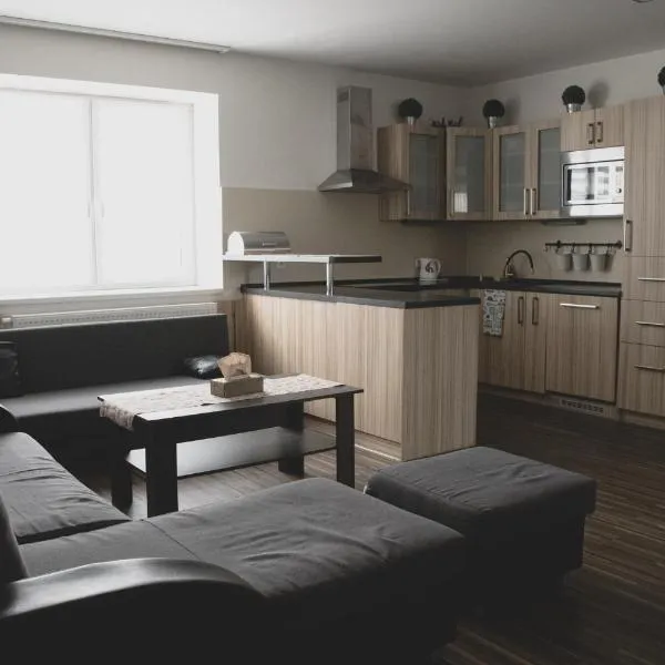Apartmán Pasohlávky - rodinný komfort se dvěma ložnicemi a kuchyní，位于帕索尔维基的酒店