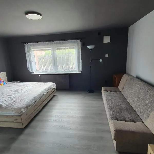 Wyspa Karsibór Świnoujście Apartament，位于斯维诺乌伊希切的酒店