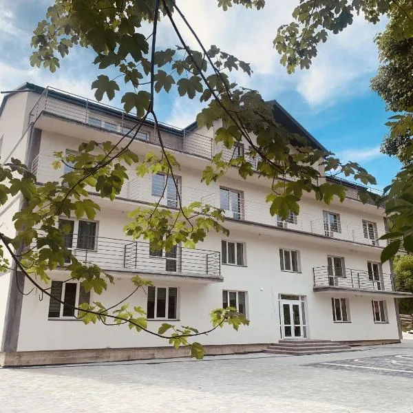 D&T Hotel，位于Ilʼtsya Dolishna的酒店