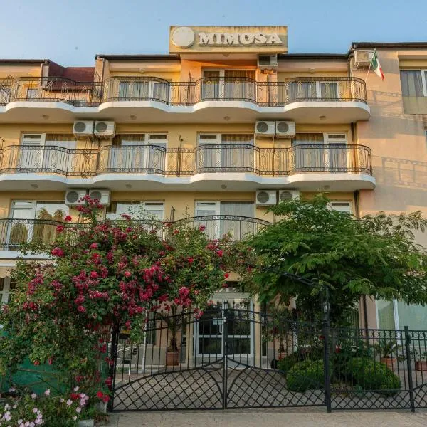 Family Hotel Mimosa，位于茨雷沃的酒店