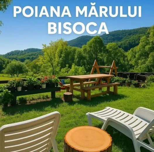 Pensiunea Poiana Marului - Bisoca，位于Bisoca的酒店