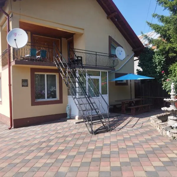 Casa Lidia și Gogu，位于Budeasa Mare的酒店