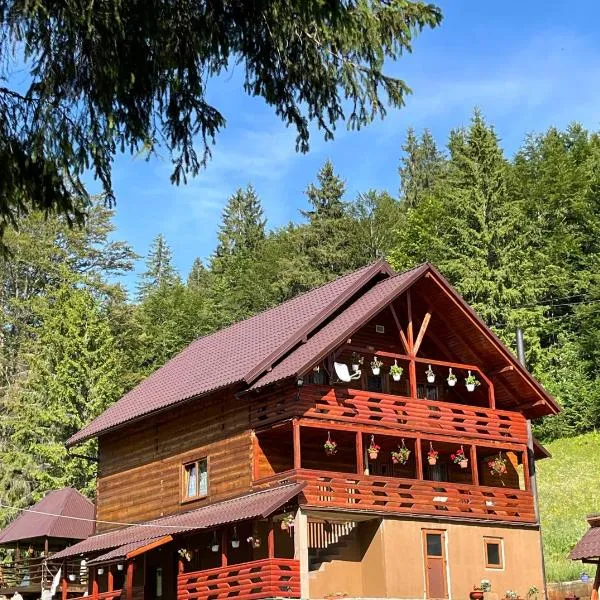 Cabana Sânziana，位于戈尔达德苏斯的酒店