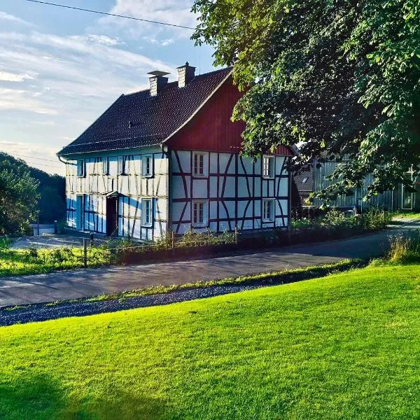 Luxus-Ferienhaus "Hassel 14"，位于Reichshof 的酒店