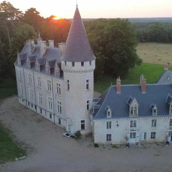 Les chambres du Chateau de Farge-Allichamps，位于Farges-Allichamps的酒店