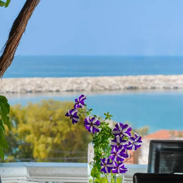 Rustic Villa Thassos，位于利迈纳里亚的酒店