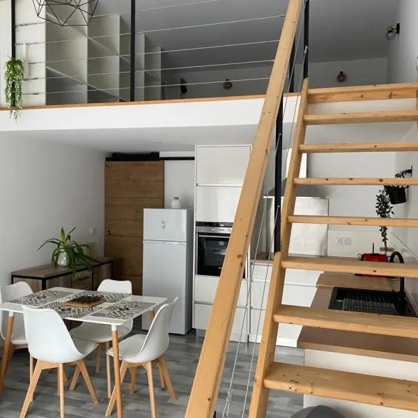 appartement entre mer et montagne，位于亚斯凯恩的酒店