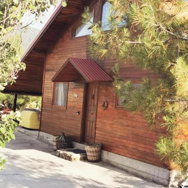 The Mouflon House Pedoulas，位于尼科西亚的酒店