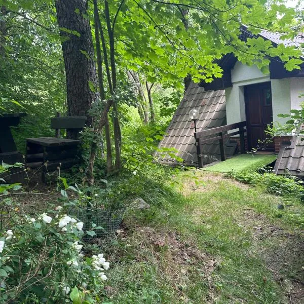 Studio Gościnne ANTEK，位于Czarnów的酒店