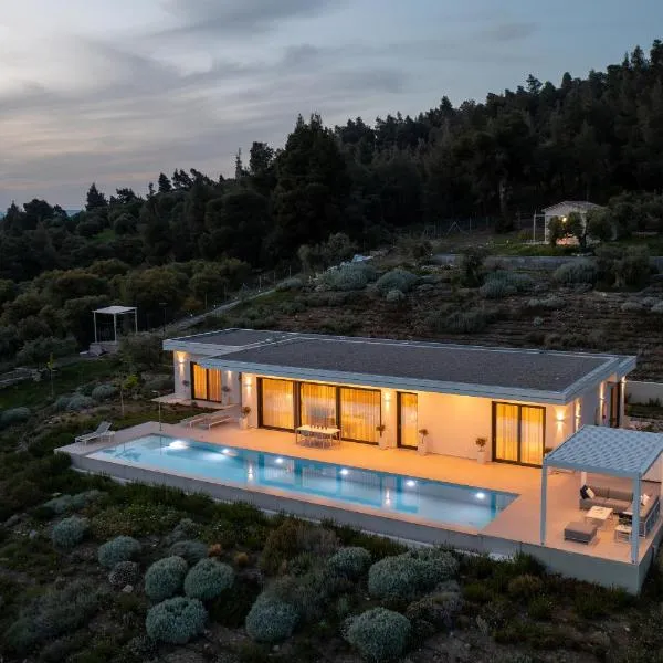 Olive Grove Suites - Villas with private pool and garden，位于尼基季的酒店