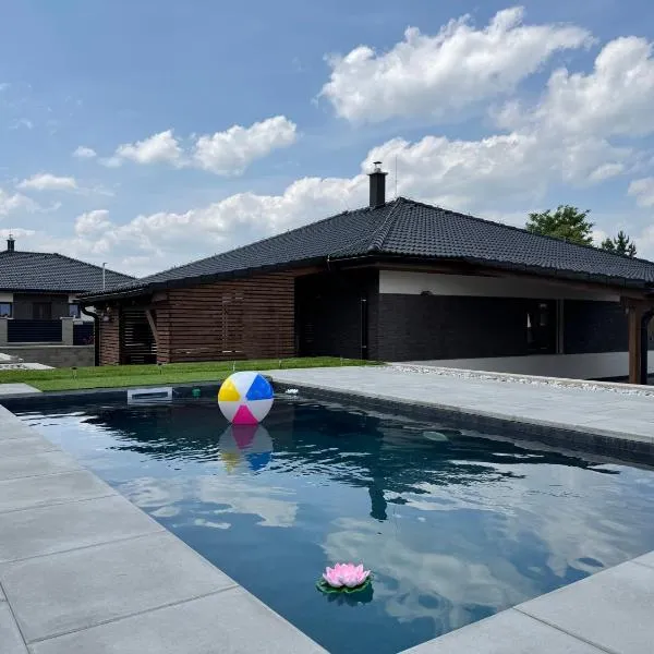 Home by the Pool & Garden，位于Srbín的酒店