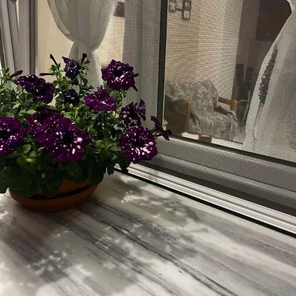 MARIALENA HOMe，位于Petropiyí的酒店