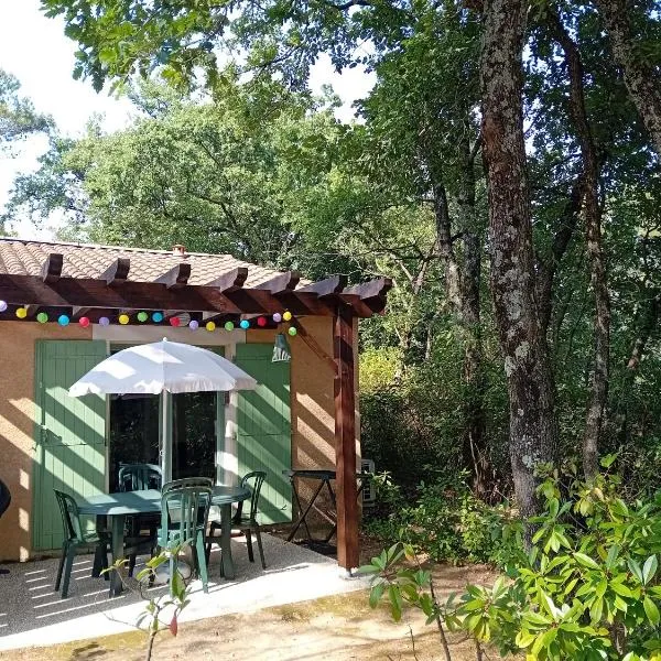 Mazet provençal climatisé 5 pers jardin et parking，位于高加克的酒店