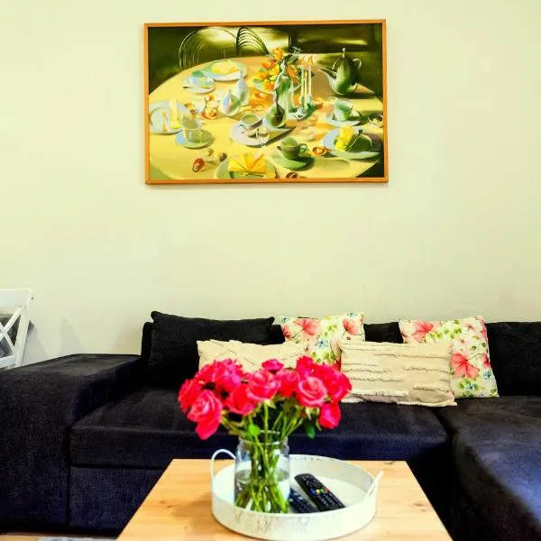 Apartament na Okrężnej，位于希维博津的酒店