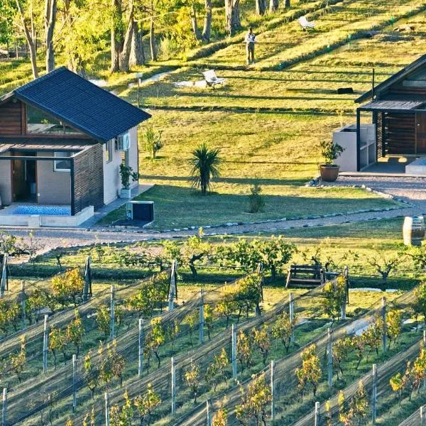Martyniuk lodges entre viñedos，位于圣拉斐尔的酒店