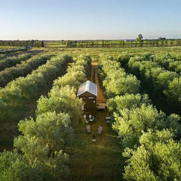 Olive Grove Retreat 2 by Tiny Away，位于Lake Boga的酒店
