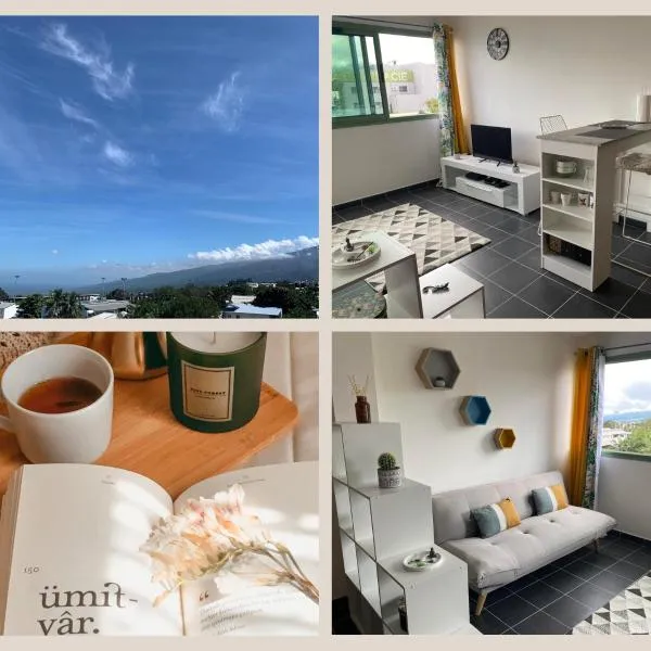 Les Terrasses d'Anissy - Studio cosy，位于勒唐蓬的酒店