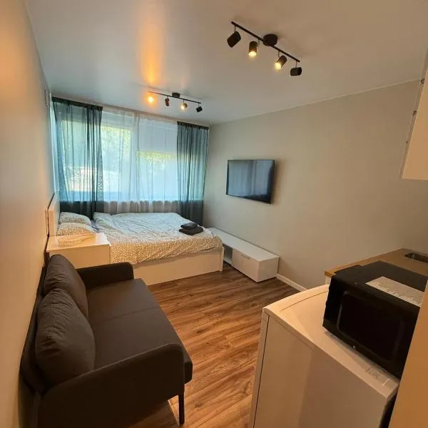 Studio apartment ll,位于维尔纽斯的酒店