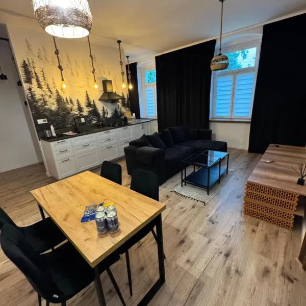 Apartament Chopina，位于索布特卡的酒店