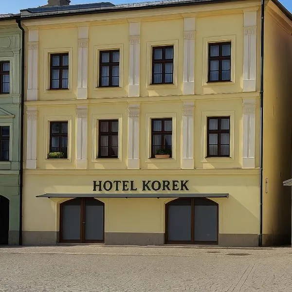 Hotel Korek，位于弗里代克-米斯泰克的酒店