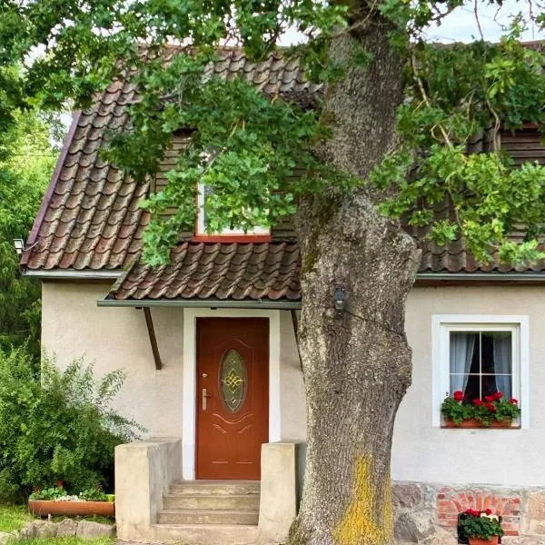 Willa Pod Dębem，位于Koczarki的酒店