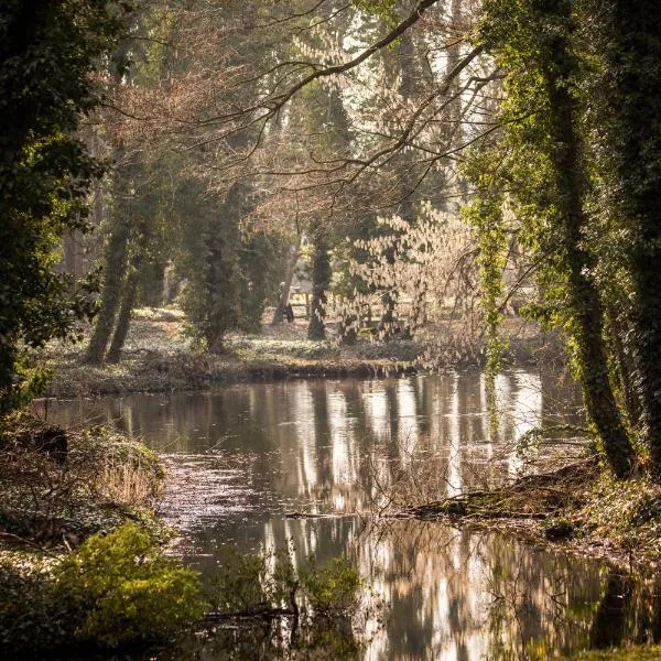 Apartment am Schlosspark，位于Petersberg的酒店