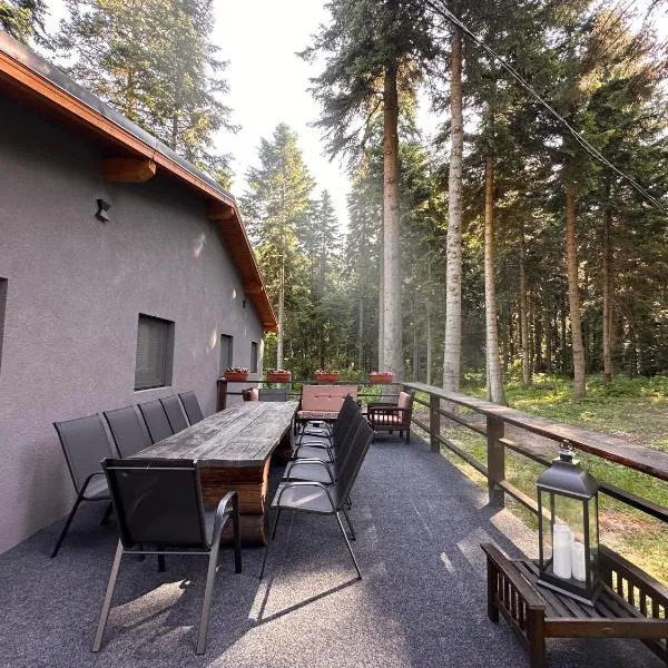 Stylish Alpine Ski Chalet Tirol，位于波罗维茨的酒店