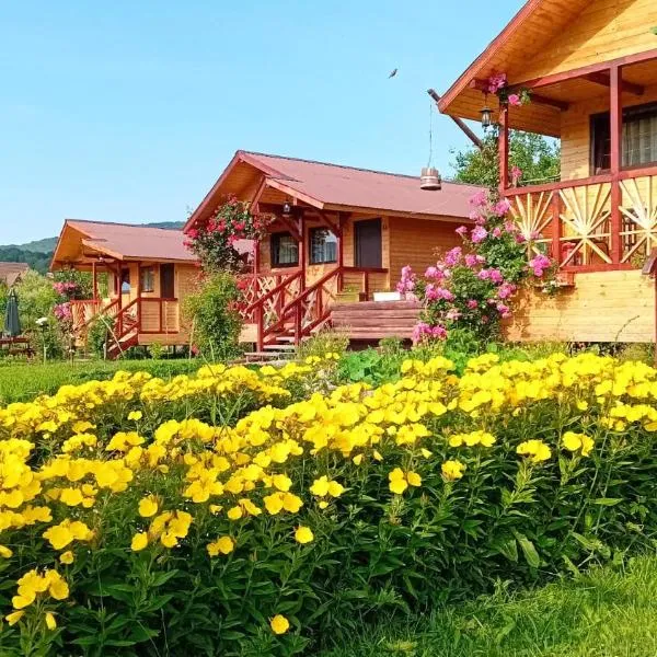 Baltina Parc Transfagarasan，位于阿尔杰什河畔库尔泰亚的酒店