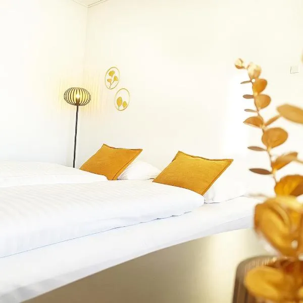 Hotel Svanegården，位于科瑟的酒店