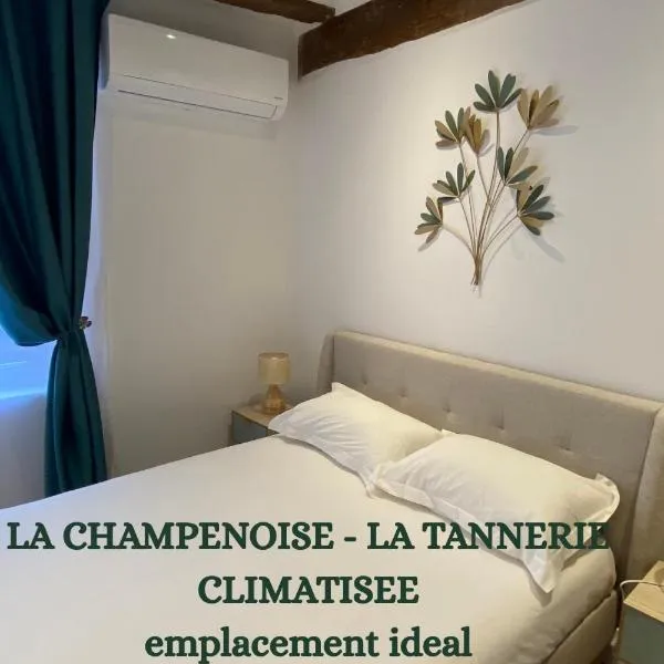 La Champenoise La Tannerie，位于特鲁瓦的酒店