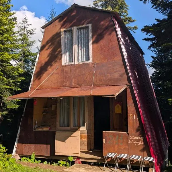 House in forest，位于Gomi的酒店