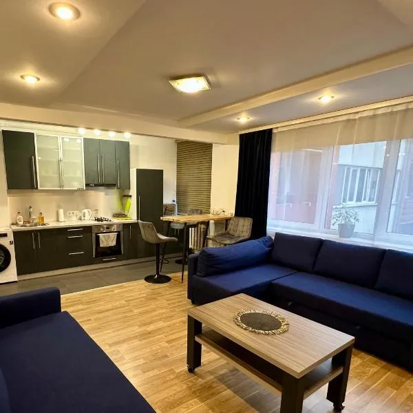 Stay at Ausmas Apartment，位于Dobele的酒店