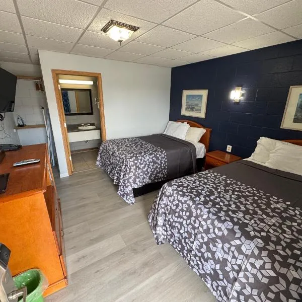 Sleep-ees Inn, Saginaw & Frankenmuth，位于萨吉诺的酒店