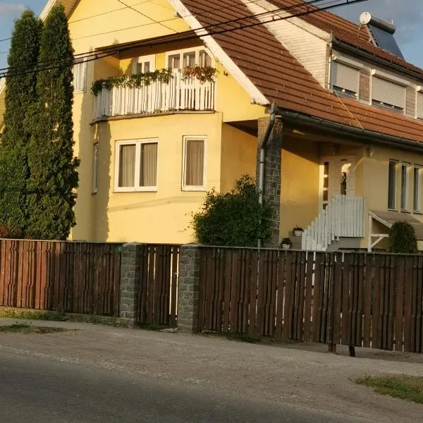 Sólyom Katalin vendégház，位于Suseni的酒店