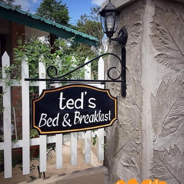 Ted's Bed and Breakfast，位于Santa Cruz的酒店