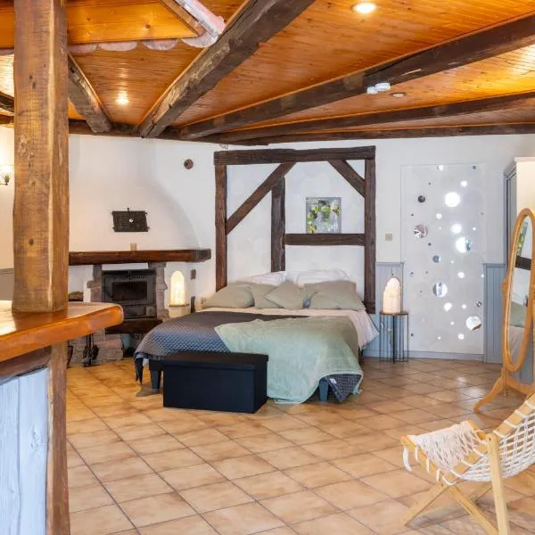 Chalet du Rhin, le coin de Mut en Alsace proche Europa Park，位于Muttersholtz的酒店