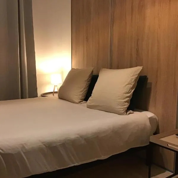 Chambre Cosy 2，位于蒙托邦的酒店