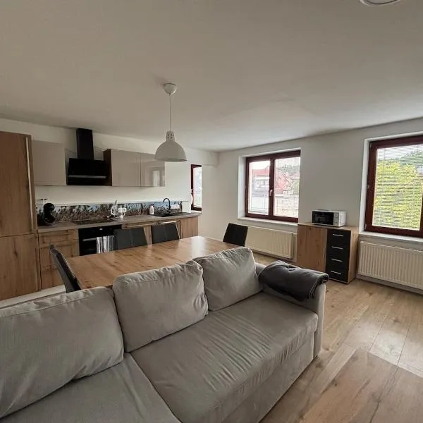 Apartment in Dvůr Králové，位于拉贝河畔皇宫镇的酒店