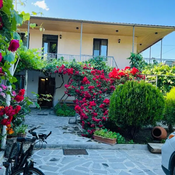 Guesthouse Mtkvari，位于Nak'alak'evi的酒店