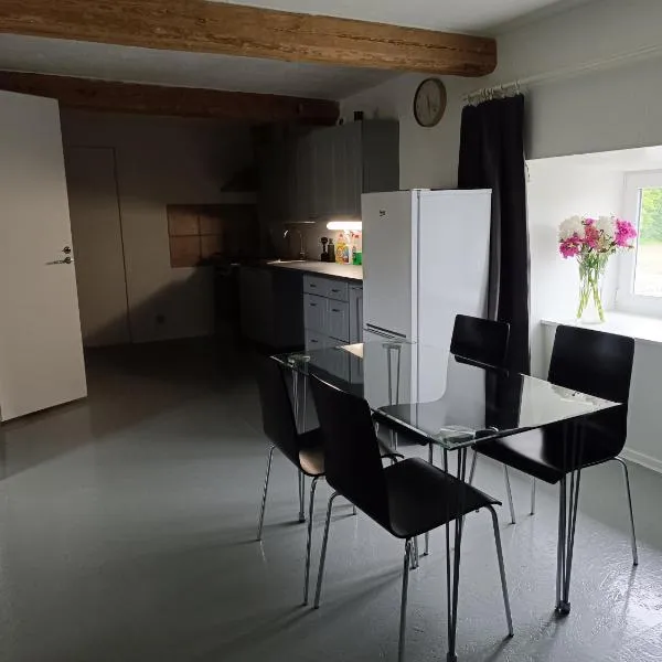 Mäo Apartment，位于Mäo的酒店