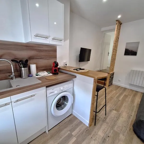 Grand T2 lumineux 2 pers Olivet Avenue Loiret，位于奥利韦的酒店