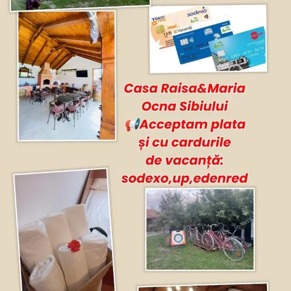 Casa Raisa & Maria，位于锡比乌盐矿镇的酒店