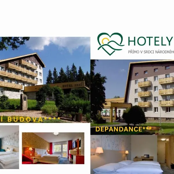 Hotel Srní a Depandance，位于斯尼的酒店