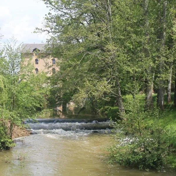 Le Moulin Chevillon，位于Cercy-la-Tour的酒店